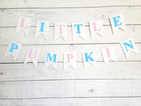 Little Pumpkin Gender Reveal Little Pumpkin Banner Little Pumpkin Baby Shower Little Pumpkin Birthday Pumpkin Banner Pumpkin Pink and Blue