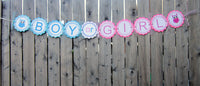Owl Gender Reveal Cupcake Toppers - Blue Boy and Pink Girl Owls - 87161040A