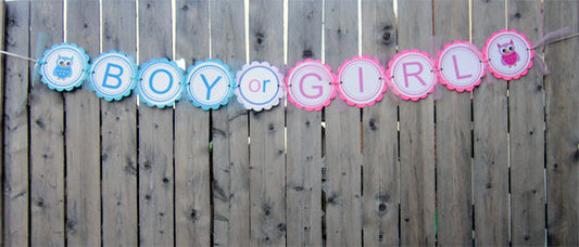 Owl Gender Reveal Cupcake Toppers - Blue Boy and Pink Girl Owls - 87161040A