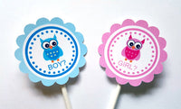 Owl Gender Reveal Cupcake Toppers - Blue Boy and Pink Girl Owls - 87161040A