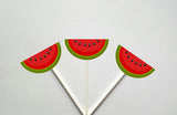 Watermelon Goody Bags, Watermelon Favor Bags, Watermelon Gift Bags