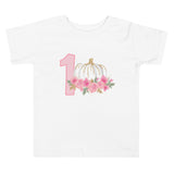 Pumpkin Shirt, 1st Birthday Pumpkin Shirt, 1st Birthday Party Shirt, Fall 1st Birthday Shirt